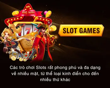 Chương trình VIP 13win21 app